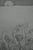 Contemporary Gochka Charewicz, Horizon, Lithograph For Sale - Image 3 of 9