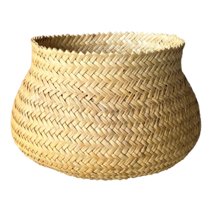 Late 20th-Century Nicely-Sized Tarahumara Handwoven Sotol Leaf Cachepot, Mexico