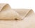 Pure, luminous, and quietly detailed: a canvas of ivory that reveals itself slowly. A soft ivory field stretches across...