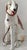 1960s Life Size Glazed Porcelain Borzoi Dog Statue Made in Italy, Circa 1960 For Sale - Image 5 of 13