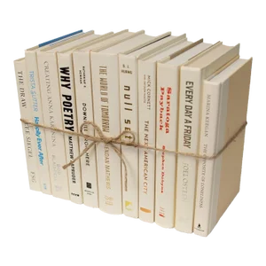 Decorative Books - Buttercream Book Bundle - 1 Foot of Cream Books