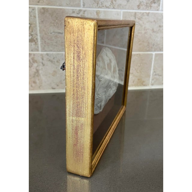 19th Century Cameo Shell For Sale - Image 4 of 8