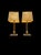 Vintage Wood and Brass Table Lamps by Temde Leuchten, 1970s, Set of 2 For Sale - Image 9 of 13