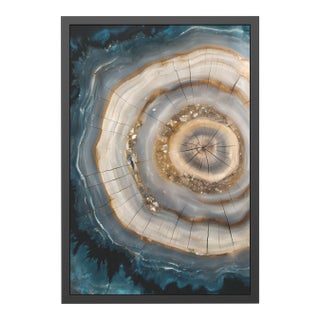 24 X 36 Blue Agate Petrified Wood Rings – Framed Fine Art Giclée Print For Sale
