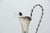 Silver Wine Jug with Curls and Leaves in Relief For Sale - Image 3 of 4