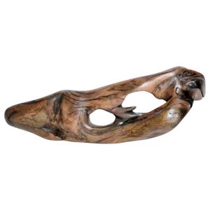 Tropical Driftwood Sculpture by Jörg Pietschmann
