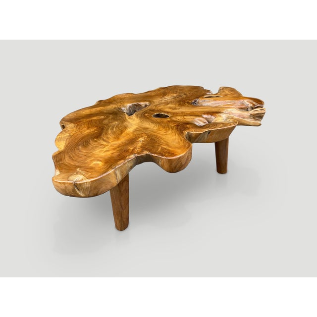 Andrianna Shamaris Single Slab Live Edge Coffee Table For Sale - Image 11 of 18