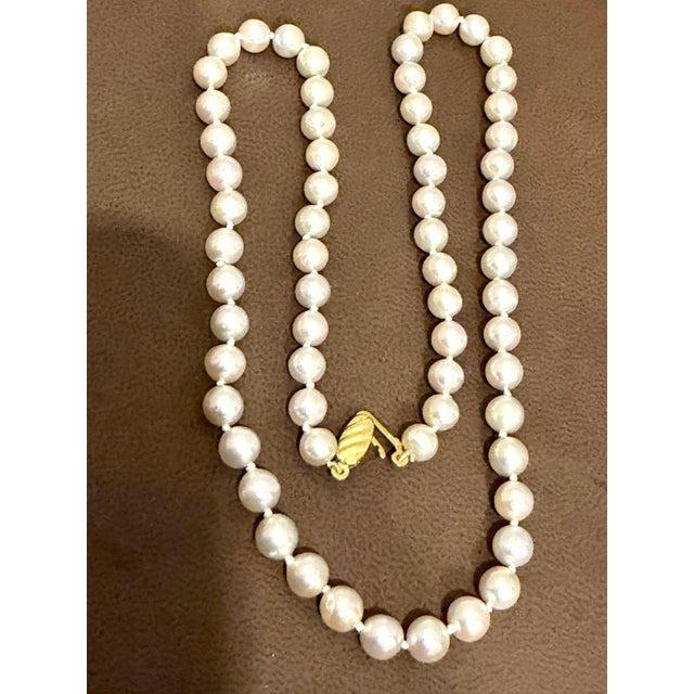 2020s Fine Cultured Akoya Pearl Necklace Length 18" , 14 Karat Yellow Gold For Sale - Image 5 of 8