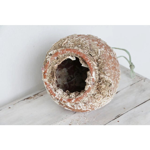 Ceramic 19th Century Terracotta Octopus Trap Vase For Sale - Image 7 of 12