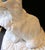 White Vintage Italian Terra-Cotta Two Piece Sculpture Persian White Cat on a Pillow Circa 1960s For Sale - Image 8 of 16
