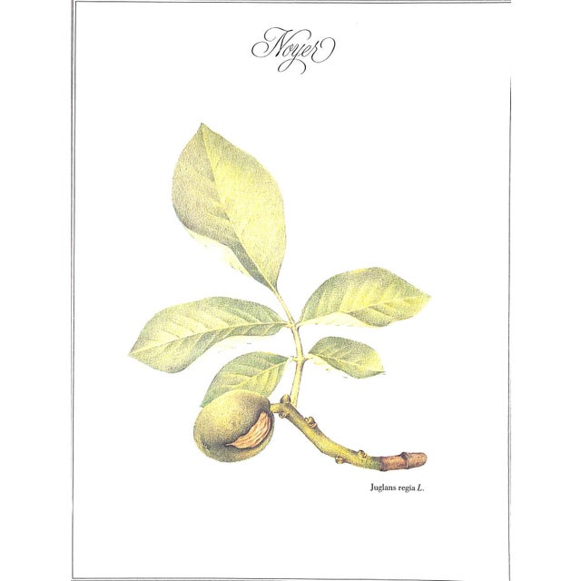 "Un Jardin Pour La Peau" 1986 Delaveau, Pierre/ Clair, Genevieve For Sale - Image 11 of 11