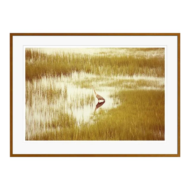 Massachusetts Heron by Stuart Möller Framed For Sale