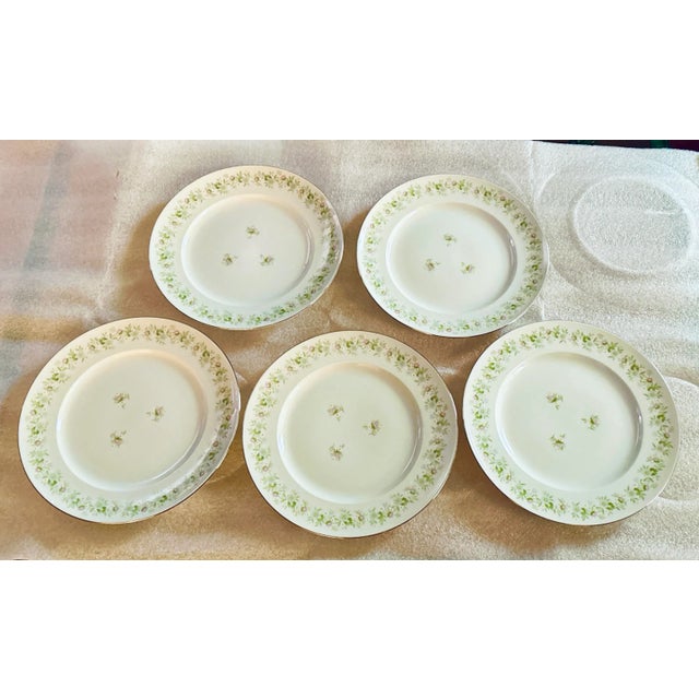 Set of five (5), Forever Spring dinner plates by Johann Haviland. Pretty pink and green floral pattern with platinum trim....