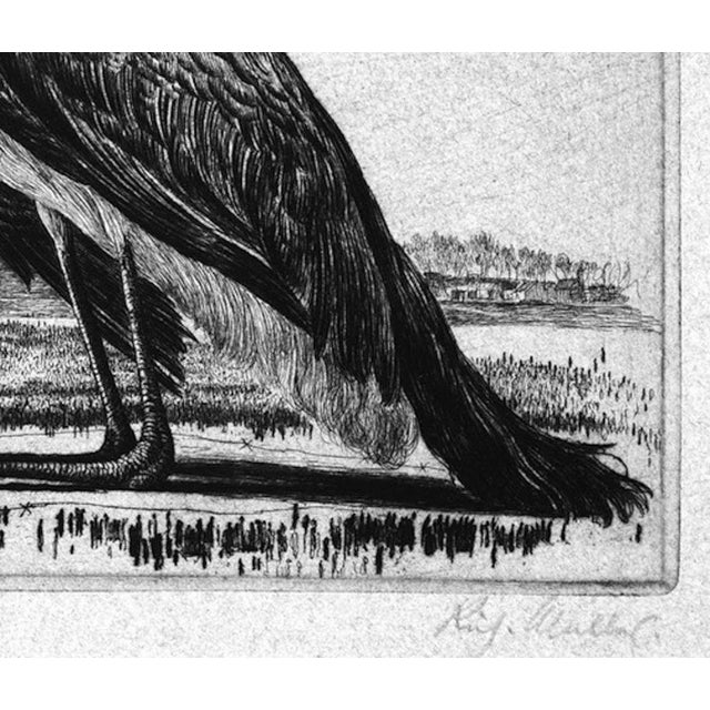Das Grosse Tier II - Original Etching by Richard Muller - 1919 1919 For Sale - Image 3 of 6