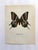 Up for sale is this gorgeous lithograph by F. Prochazka, published in Great Britain in 1965. It is in excellent, gently-...