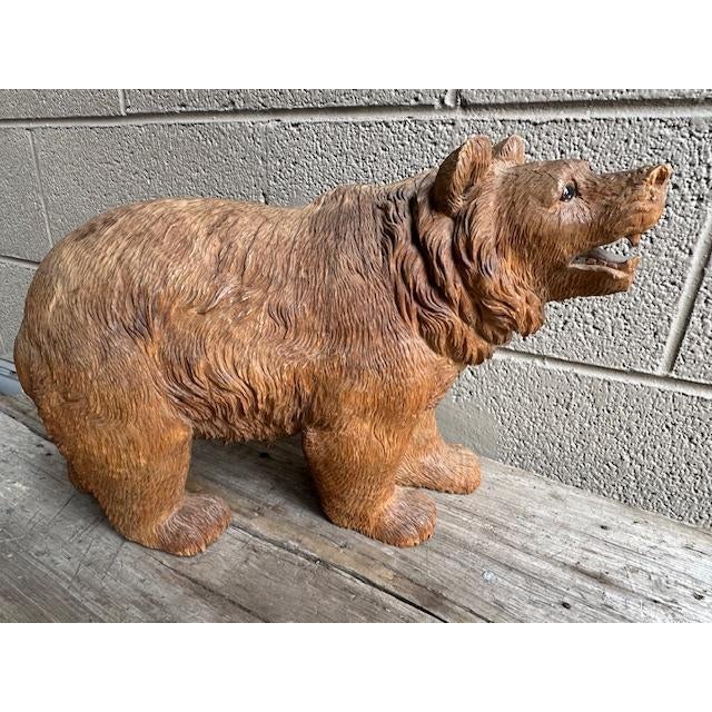 Black Forest Wood Carved Bear with glass eyes. He is a medium sized bear with a commanding presence. Good condition with a...