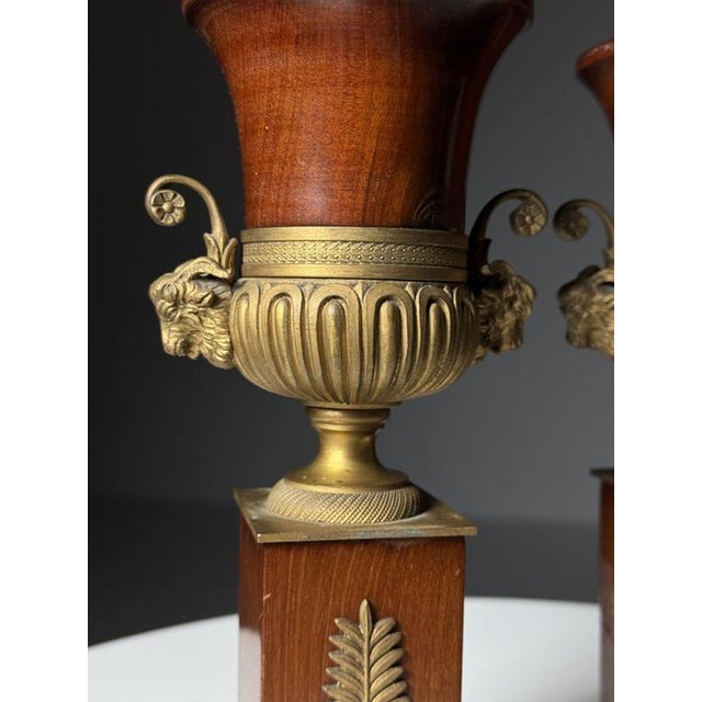 Mahogany Vases, 19th Century, Set of 2 For Sale - Image 15 of 18
