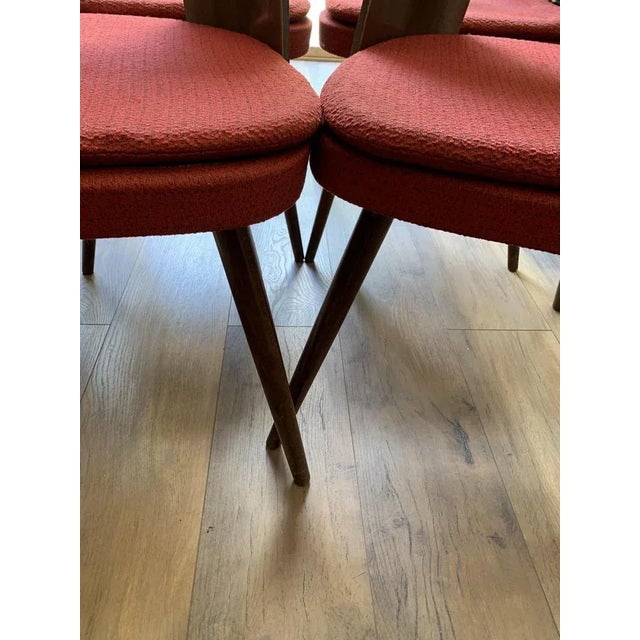 Wood Mid-Century Dining Chairs by Antonín Šuman for Tatra Furniture, 1960s, Set of 4 For Sale - Image 7 of 8