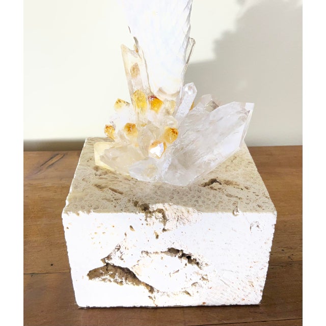 Shell Handcrafted Marine & Mineral Sculpture by Joseph Malekan For Sale - Image 7 of 18