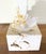 Shell Handcrafted Marine & Mineral Sculpture by Joseph Malekan For Sale - Image 7 of 18