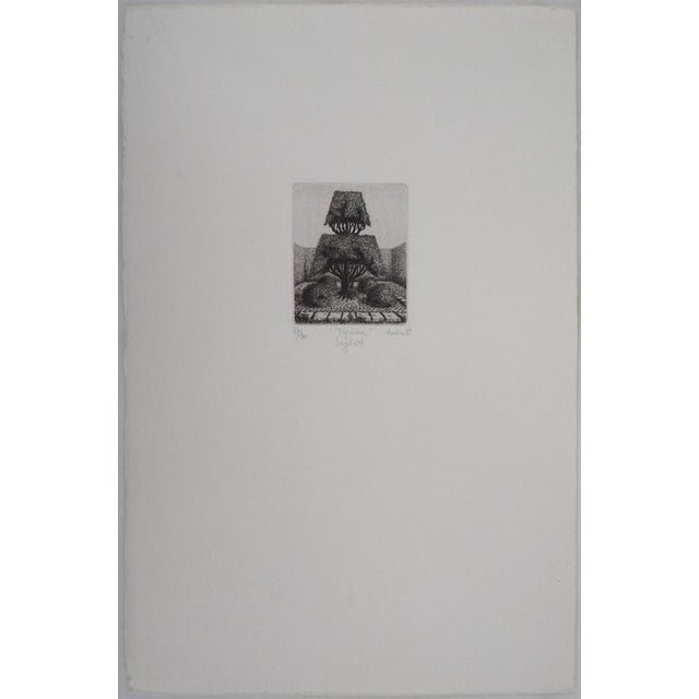 François HOUTIN Topicure (Subject n ° 1), 1979 Original etching on BFK Rives vellum Signed in pencil lower right Numbered...