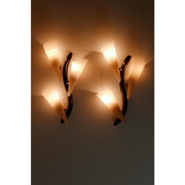 1950s Mid-Century Modern Sconces or Wall Lamps, Germany, 1950s, Set of 2 For Sale - Image 5 of 18