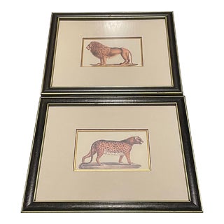 Set of 2 Vintage Karl Joseph Brodtmann Leopard Panther Lion Big Cat Lithographs For Sale