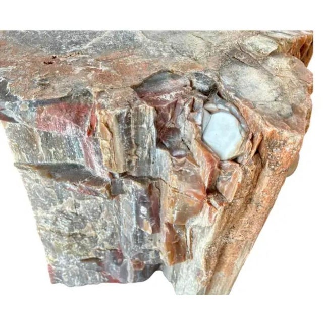 Natural Petrified Wood Specimen. #1 For Sale - Image 9 of 11