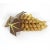 Wood Mid-Century Modern Large Wood Grape Fruit Cluster For Sale - Image 7 of 9