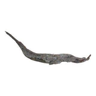 1854 Big Burn Ghost Forest Large 4-Foot Ribbon Grain Architectural Sculpture For Sale