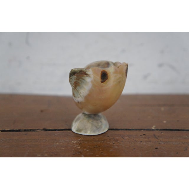 Antique Mother of Pearl Nautical Nautilus Sea Shell Trinket For Sale - Image 4 of 12