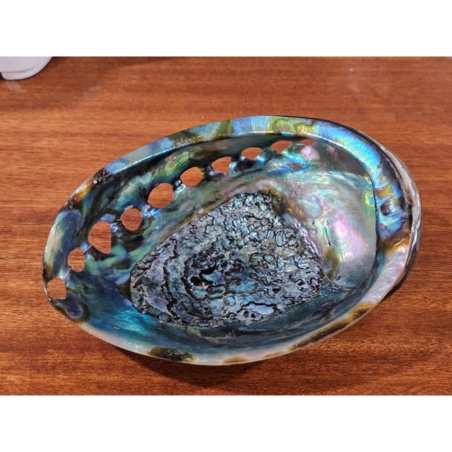 An exquisite large vintage abalone shell showcasing a spectacular display of natural iridescence in shimmering shades of...