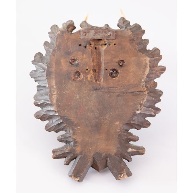 Black Forest Roe Deer Antlers Hunting Trophy 1951 Mount For Sale In Houston - Image 6 of 7