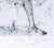 Hand signed and numbered. Edition of 35 prints. Excellent condition. Ref. Cramer no. 6 This piece is attributed to the...