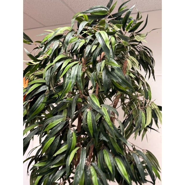 Plastic Faux Mango Tree + Tapered Black Planter For Sale - Image 7 of 12