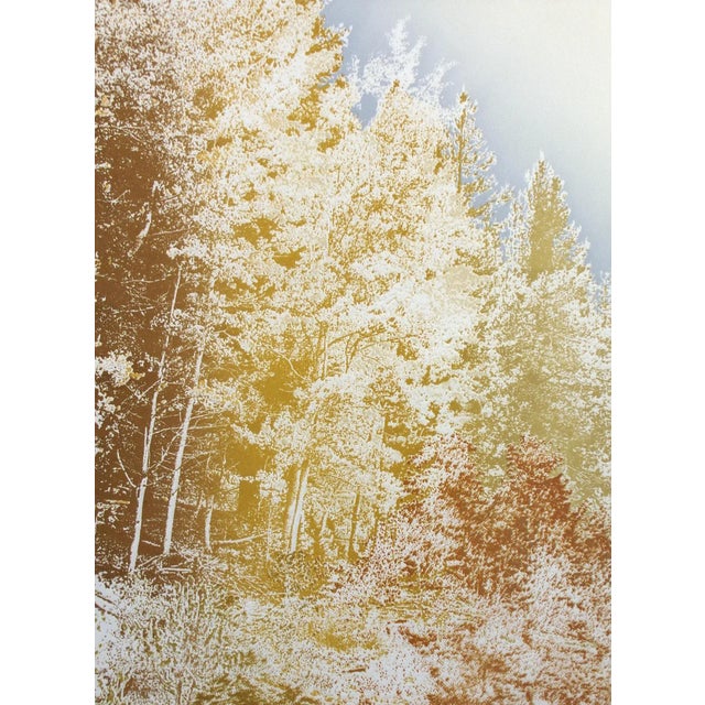 1980s Paula Crane "Alma Ii" Signed Numbered Artwork Etching of Forest, Trees For Sale - Image 5 of 7