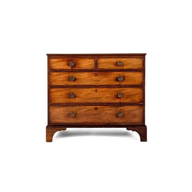 George III Mahogany Chest For Sale - Image 13 of 13