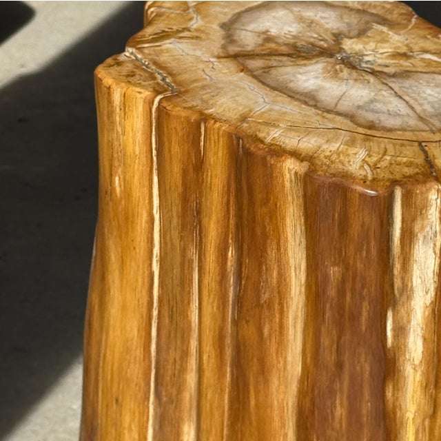 Oval Side Table in Petrified Wood, 1980s For Sale - Image 4 of 18