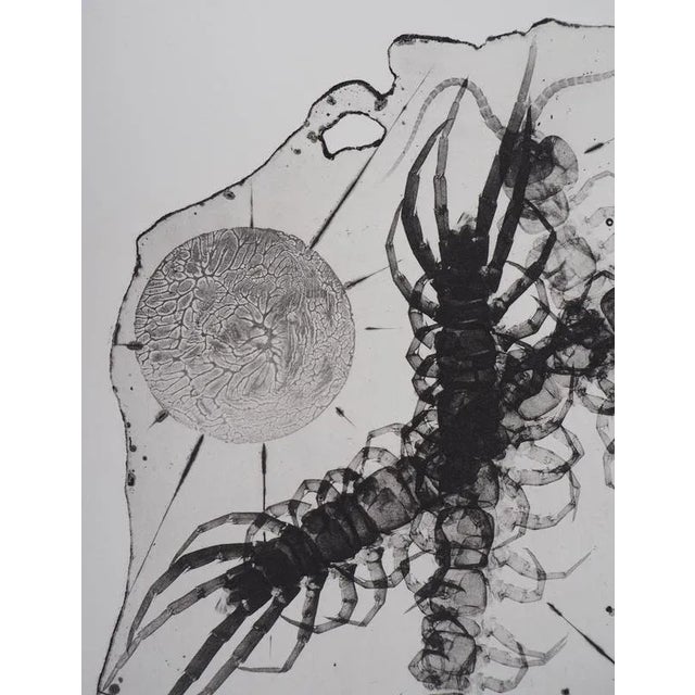 Pierre-Yves Tremois, Plankton, Etching For Sale - Image 5 of 7