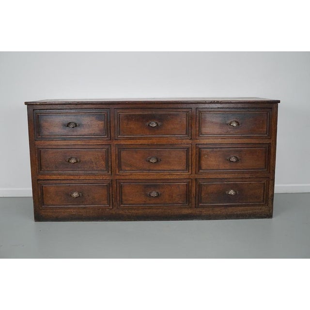 French Oak & Fruitwood Apothecary Filing Cabinet For Sale - Image 5 of 18