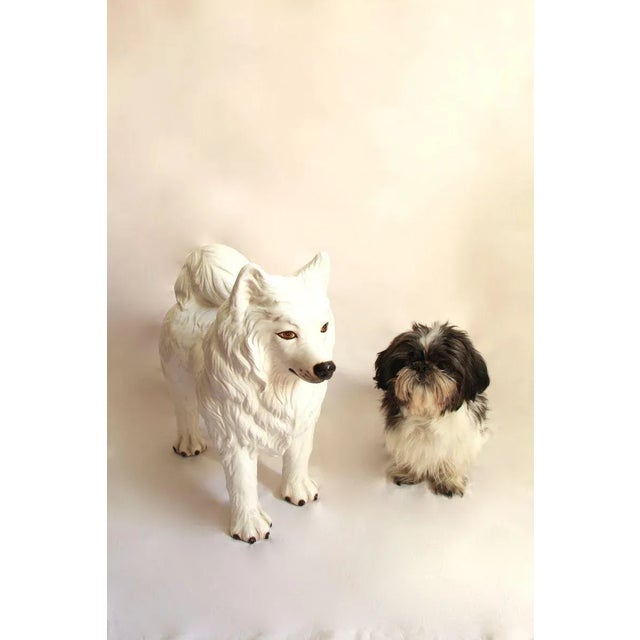 Traditional Nonce, Vintage Imposing Ceramic Dog Sculpture, Italy, 1970s For Sale - Image 3 of 9