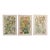 John Allen Victorian Wildflower Chromolithograph Set of 3, c.1891 – Plates 11, 4, 28 For Sale