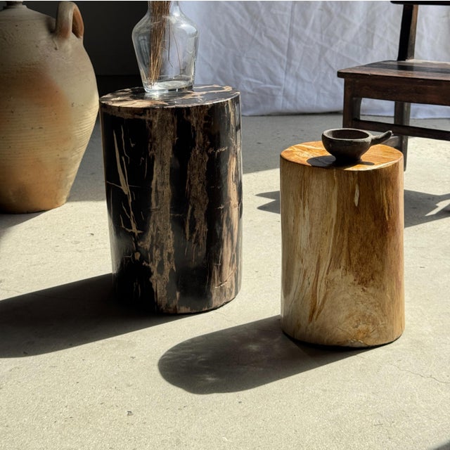 Side Table in Black Petrified Wood with Beige Striations and a Circular Arc For Sale - Image 4 of 18