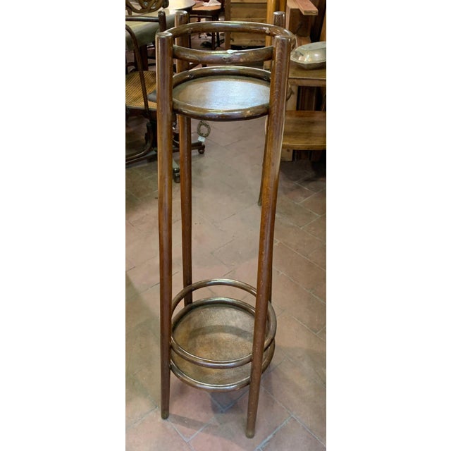 Thonet Vintage Vase Stand from Thonet For Sale - Image 4 of 7