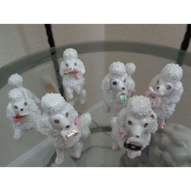 Six fabulous Fifties miniature porcelain poodle dogs. Marked Japan. Each poodle is holding a variety of things in their...