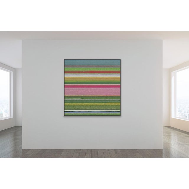 Photography "AV_Tulip_Fileds_014", Size A, Limited Edition Fine Art Photograph Print by Bernhard Lang For Sale - Image 7 of 10