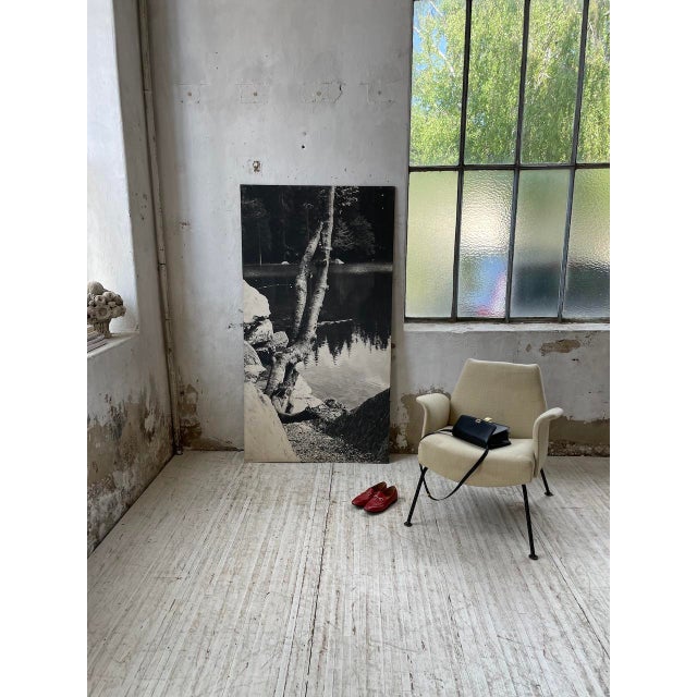 Black and White Tree Photograph in Wood & Paper, 1970s For Sale - Image 16 of 18