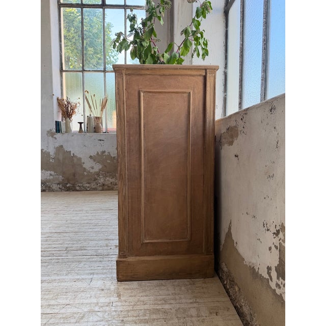 Oak Cabinet with Compartments and Shelves, 1900s For Sale - Image 12 of 18