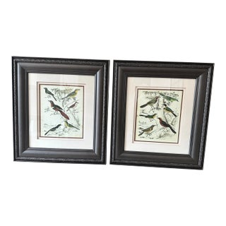 Vintage Bird Motif Prints, Pair For Sale