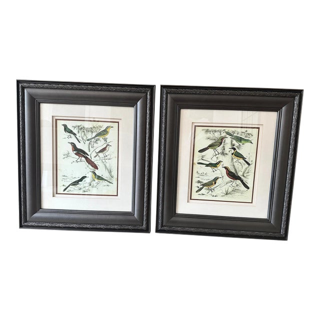 Vintage Bird Motif Prints, Pair For Sale